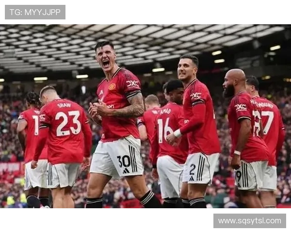 曼联计划引援中场目标锁定安德森沃顿和巴莱巴 曼联计划引援中场目标锁定安德森沃顿和巴莱巴